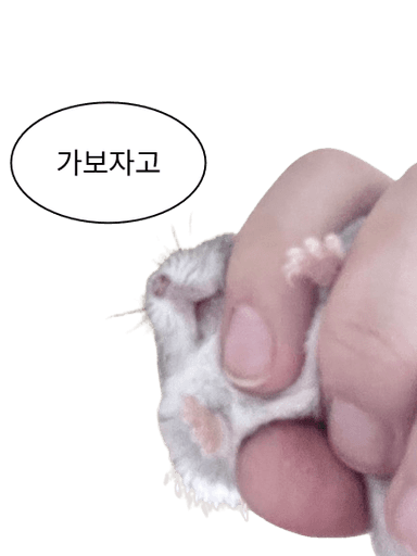 알밤